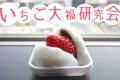いちご大福について、いちご大福研究会幹事長にひたすら語ってもらった